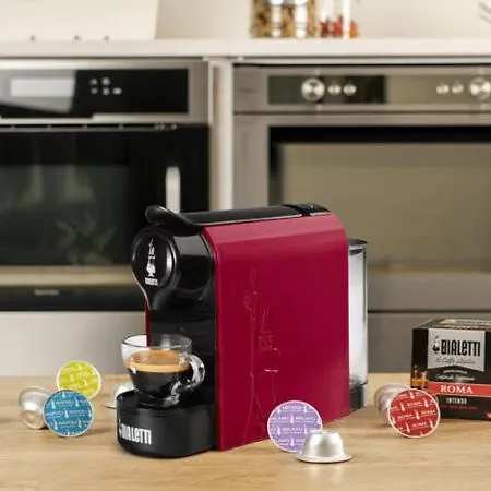 Mama's House * Bolonia